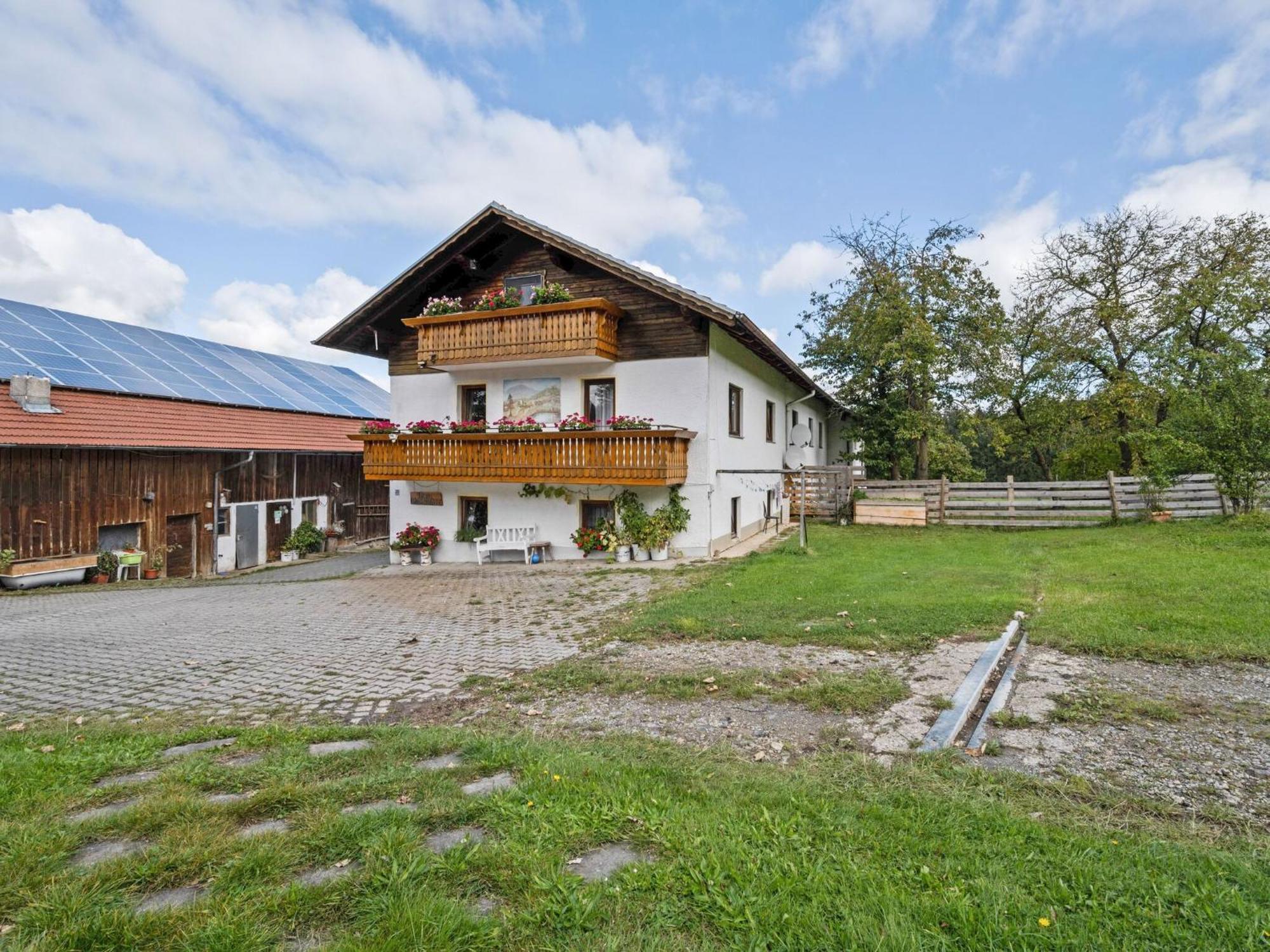 Flat On A Farm Near The Arber Ski Area Neukirchen beim Heiligen Blut Exterior photo
